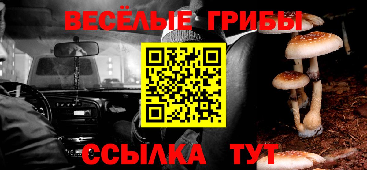 Домодедово  Галлюциногенные грибы Psilocybe  Псилоцибиновые грибы прущие грибы  Вход с VPN 